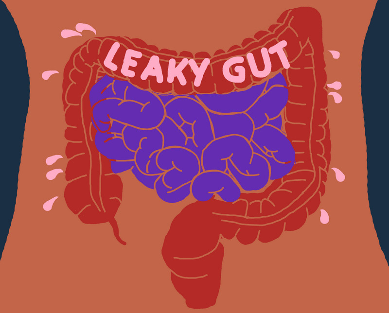 Leaky gut intestin poreux